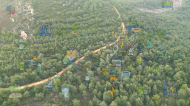 Yeşil orman hava manzarası ve çevresel teknoloji kavramı. Yeşil teknoloji. Ekoloji. Yeşil dönüşüm. GX. SDG 'ler. Yüksek kalite 4k video