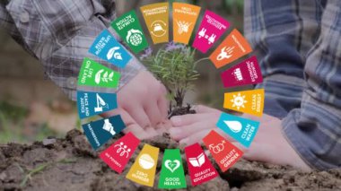 Eller toprağa güzel bir tohum ekiyor. Yerleştirmenin yakın çekimi. Ekoloji konsepti. Yeni yaşam konsepti 4k video