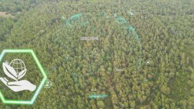 Yeşil orman hava manzarası ve çevresel teknoloji kavramı. Yeşil teknoloji. Ekoloji. Yeşil dönüşüm. GX. SDG 'ler. Yüksek kalite 4k görüntü