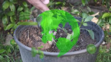 Eller toprağa güzel bir tohum ekiyor. Yerleştirmenin yakın çekimi. Ekoloji konsepti. Yeni yaşam konsepti 4k video