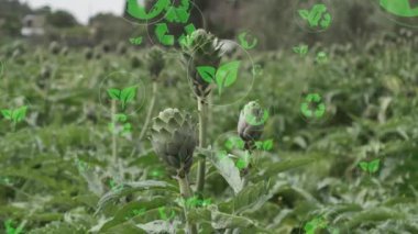 Tarım teknolojisi konsepti. Tarım teknisyeni. Çevre teknolojisi. Sürdürülebilir Kalkınma Hedefleri, Yüksek kalite 4k görüntü