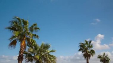 Hızla hareket eden yağmur bulutları ve dalgaları. Yüksek kalite 4k görüntü
