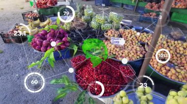 Tarım akıllı tarım teknolojisi - sanayi 4.0 Teknoloji ile hasat ve ekim ve akıllı çiftçilik kavramı. - Evet. Yüksek kalite 4k görüntü