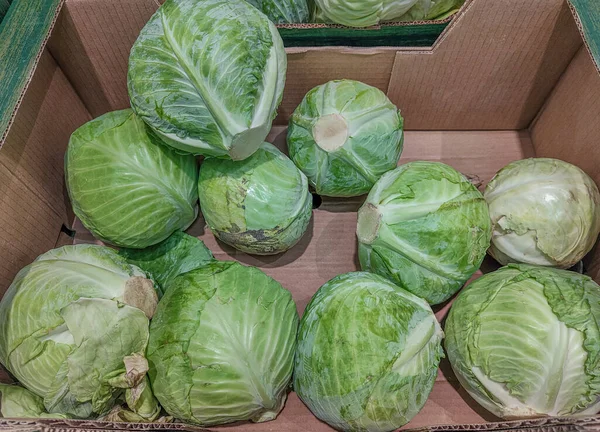 Cabbage for sale, an edible plant with a lot of liquid component, it is ideal for low-calorie diets and to purify the body. Cabbages are rich in potassium, calcium and magnesium.