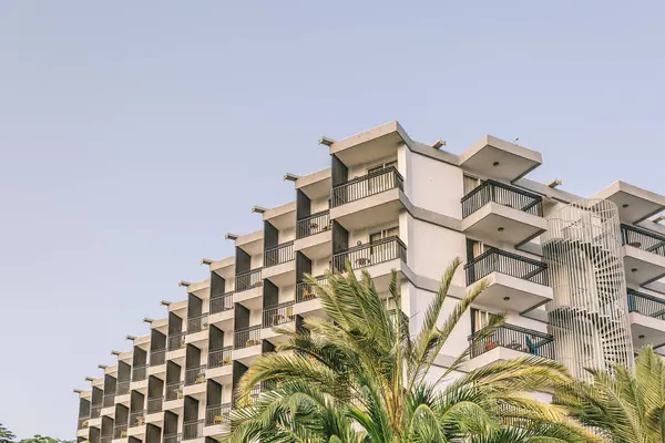 Önünde palmiye ağacı olan yüksek bir bina. Bina beyaz ve birçok penceresi var.