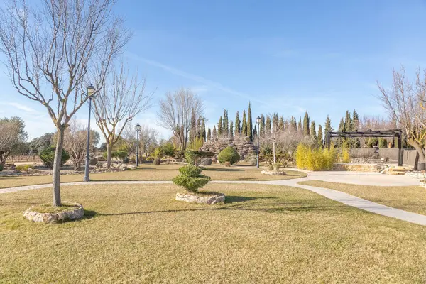 Patikası ve ağaçları olan bir park. Ağaçlar çıplak ve gökyüzü güneşli bir günde mavi.