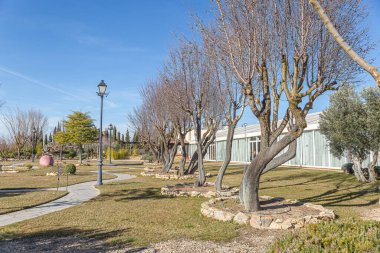 Patikası ve ağaçları olan bir park. Ağaçlar çıplak ve gökyüzü mavi.