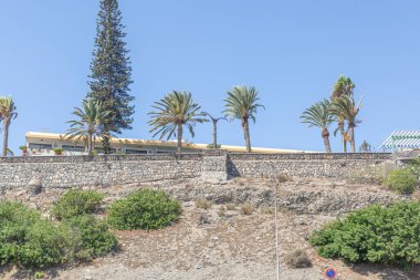 Arkasında büyük bir ağaç ve bina olan bir yamaç. Yamaçta çalılar ve ağaçlar var.