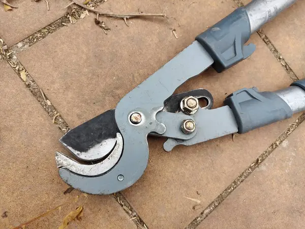 Siyah bıçaklı ve gri saplı bir budama makası. Makaslar fayanslı bir yüzeyde duruyor.