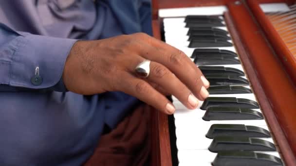 Harmonium Player Primo Piano — Video Stock