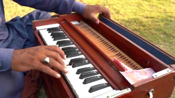 Harmonium Player Primo Piano — Video Stock