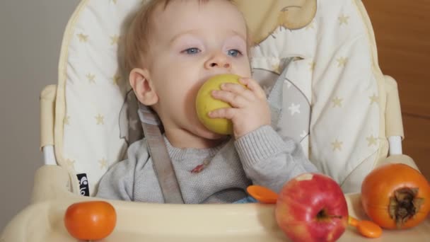 Портрет Маленького Хлопчика Який Сидить Високому Кріслі Кусає Свіже Яблуко — стокове відео