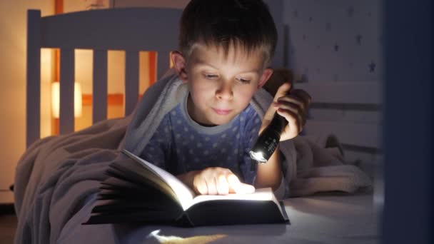 Portræt Sød Dreng Pyjamas Holder Lommelygte Læser Interessant Bog Børn – Stock-video