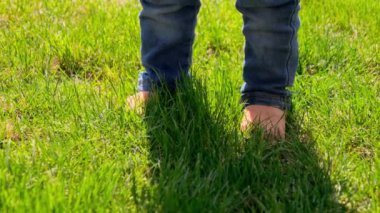 Yeşil çimlerin üzerinde duran kot pantolonlu küçük bebeğin ayakları. Çocuklar dışarıda, çocuklar doğada, bebek dışarıda oynuyor.