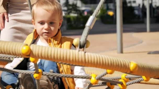 Lassú Mozgás Aranyos Kisfiú Lengő Kerek Fészek Swing Parkban Gyerekek — Stock videók