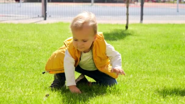 可爱的小男孩慢吞吞地站在草地上走着 户外儿童 大自然中的儿童 户外玩耍的婴儿 — 图库视频影像