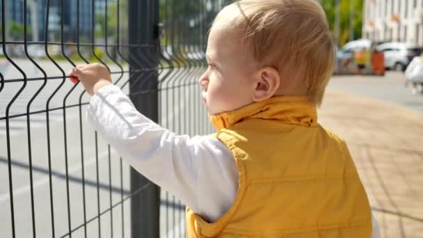 在后院里的操场上 一个悲伤的男婴独自站在栅栏前的画像 烦躁不安的孩子 负面的情绪 孩子的问题 — 图库视频影像