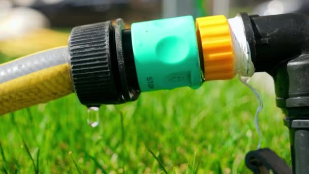 漏れた庭のホースパイプから滴り落ちる水滴の閉鎖 水の廃棄物 園芸機器 — ストック動画