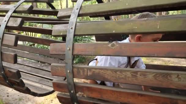 公園の遊び場で木製のパイプやトンネルを這う小さな男の子 アクティブな子供時代 健康的なライフスタイル 屋外で遊んでいる子供 自然の中で子供 — ストック動画