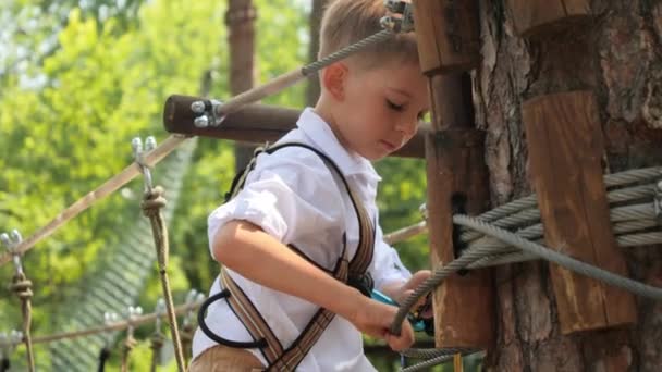 Kleiner Junge Justiert Sicherungsseil Und Haken Seil Abenteuerpark Aktive Kindheit — Stockvideo