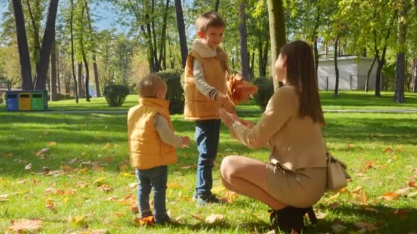 Joyeux Jeune Mère Avec Deux Fils Ramassant Des Feuilles Automne — Video