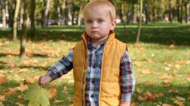 Sonbahar parkında oynayan küçük sevimli çocuğun üzerine düşen sarı ağaç yaprakları yavaş hareket ediyor. Çocuk dışarıda, mutlu çocuklar ve çocukluk, sonbahar manzarası