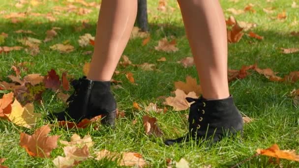 Zeitlupe Von Sexy Weiblichen Beinen Strumpfhosen Und High Heels Die — Stockvideo