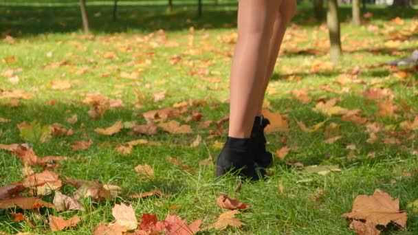 Sexy Woman Long Legs Walking Autumn Park Covered Yellow Fallen — Stock Video