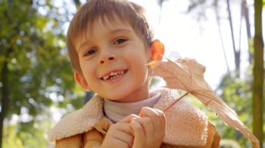 Parkta sarı akçaağaç tutan neşeli küçük çocuğun portresi. Çocuk dışarıda, mutlu çocuklar ve çocukluk, sonbahar manzarası