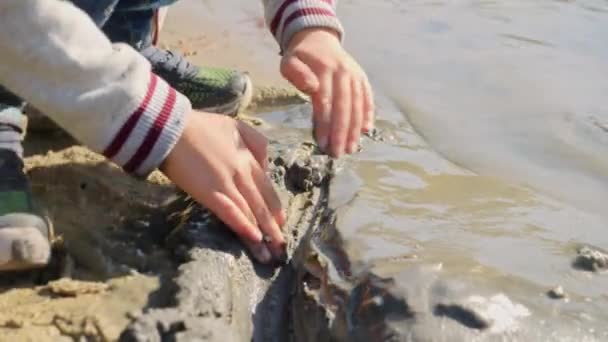 Detailní Záběr Malého Chlapce Jak Hraje Pláži Pískem Vodou Děti — Stock video