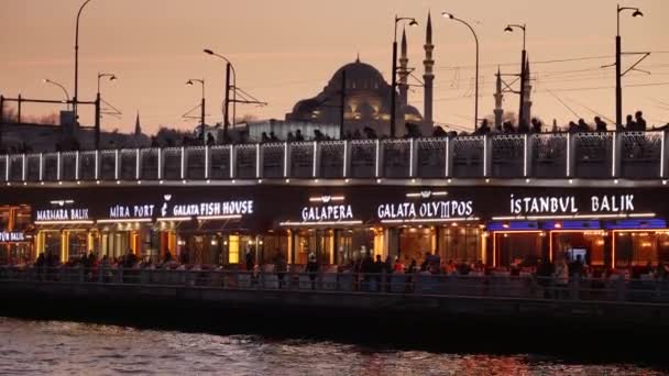 이스탄불의 어부들 갈라타 다리에서 생선을 2023 이스탄불 — 비디오