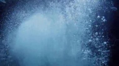 Balıklar arasında deniz tabanından su yüzeyine yüzen bir sürü hava kabarcığı var. Su altı arkaplanı veya arkaplan özeti.