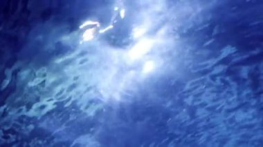 Yüzme havuzunda ya da akvaryumda güneş ışınları ve ışınlar su yüzeyinde parlıyor. Su altı arkaplanı veya arkaplan özeti.