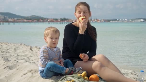 Mulher Sorridente Seu Filho Fazem Piquenique Praia Areia Curtindo Brisa — Vídeo de Stock
