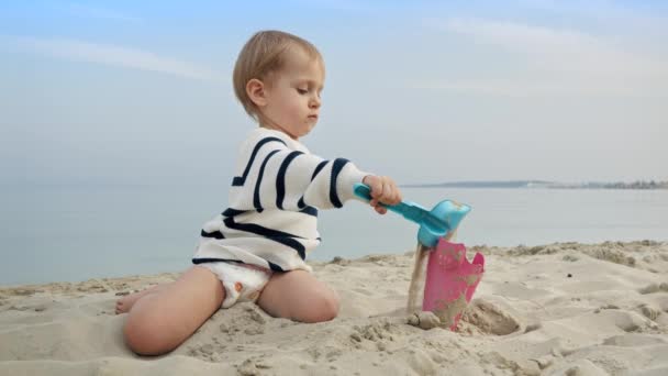 Маленький Мальчик Играет Песчаном Пляже Игрушками Использует Лопату Копать Песок — стоковое видео
