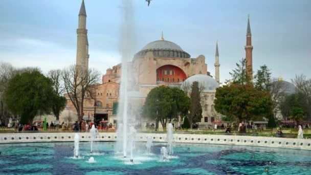 Κωνσταντινούπολη Τουρκία Φεβρουάριος 2023 Τζαμί Αγιασόφια Όμορφη Πλατεία Αναπτυσσόμενα Δέντρα — Αρχείο Βίντεο