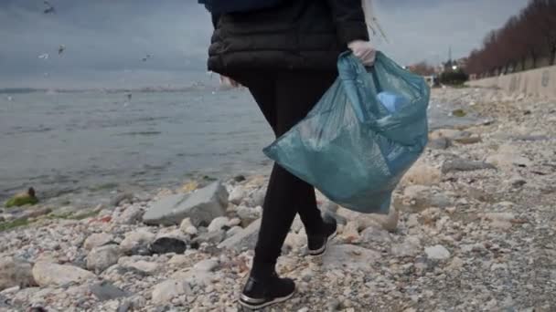 Young Woman Taking Care Environment Collecting Litter Sea Beach Plastic — Stock Video