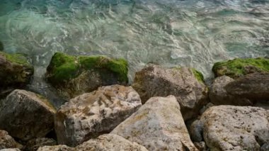 Doğal deniz arka planında deniz dalgalarının güzelliği ağır çekimde deniz yosunu ve alglerle kaplı kayalık sahillere yuvarlanıyor.