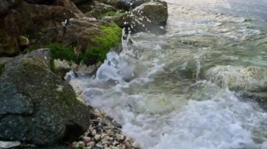 Deniz dalgalarının yavaş çekim görüntüleri kayalık sahilde yavaşça kırılıyor, yeşeren yosunlar ve yosunlarla süsleniyor.