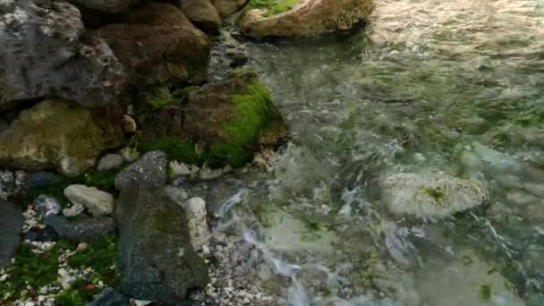 바위투성이 해변에서 흐르는 파도의 움직임 바닷말 조류의 번성하는 모습을 — 비디오
