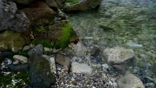 바위투성이 해안에 부딪치는 물결은 의장엄 아름다움을 바닷말 조류는 바위를 — 비디오