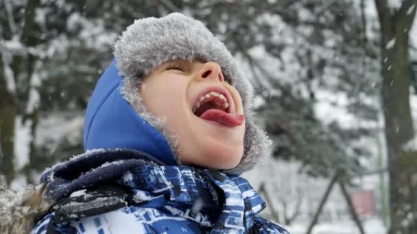 Portret Van Een Jongen Die Vrolijk Sneeuwvlokken Vangt Met Zijn — Stockvideo