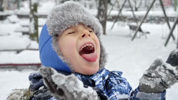 Gelukkige Jongen Staat Een Besneeuwd Park Vangt Sneeuwvlokken Met Zijn — Stockvideo