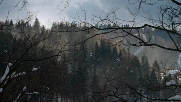 Bela Paisagem Sol Brilhando Sobre Floresta Inverno Crescendo Montanhas Cobertas — Vídeo de Stock