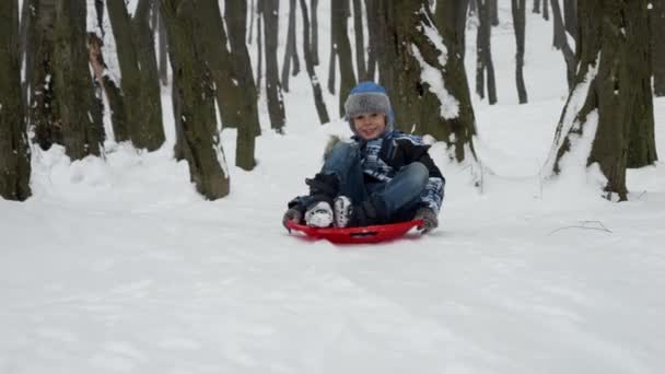 一个快乐而微笑的小男孩在他的塑料雪橇上快乐地滑下雪山的慢镜头 寒假的本质和在外面雪地里玩耍的乐趣和兴奋 — 图库视频影像