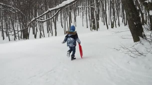 Счастливый Мальчик Несет Свои Пластиковые Санки Вверх Холму Взволнованный Снегом — стоковое видео