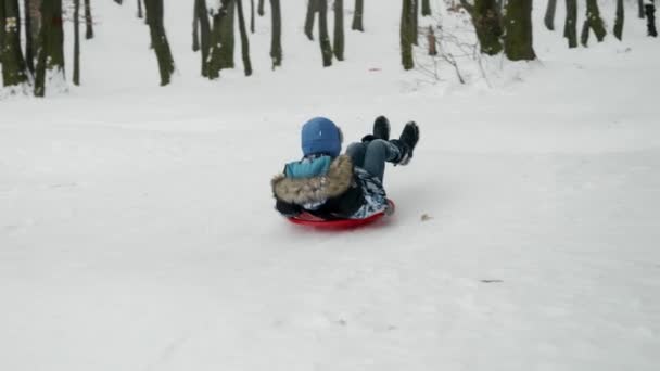 プラスチック製のそりで雪の丘を滑り降りる少年のスローモーション映像 彼の顔は喜びと興奮に満ちています 冬の魔法と野外活動のスリルを捉えた映像です — ストック動画