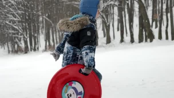 雪の日に滑り降りる前に丘の上にプラスチック製のそりを運ぶ幸せな笑顔の少年のスローモーション 冬休みの楽しみと喜び 屋外で遊ぶ子供たち 雪の中での活動 — ストック動画