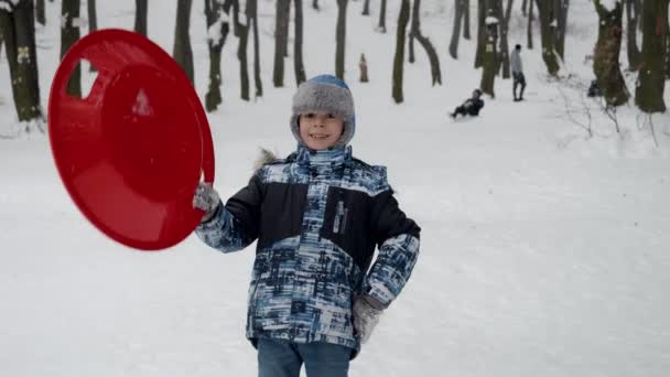 若い陽気な少年は雪の上に彼のそり 彼の顔に純粋な興奮の表情で覆われた丘の上に立っている 冬をテーマにしたプロジェクトに最適なショット — ストック動画