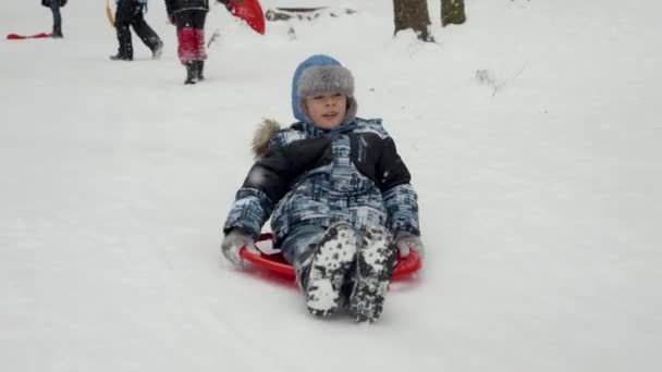 彼のプラスチック製のそりに雪の丘を滑り降りて陽気な若い男の子のスローモーションは 純粋な喜びと熱意を叫んだ ホリデーシーズンと楽しい子供たちが雪の中で — ストック動画
